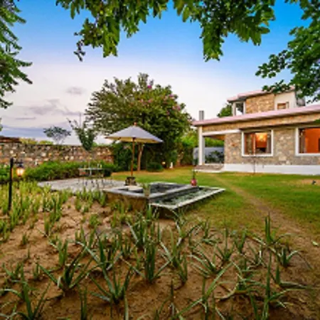 A Dog'S Story, Jaipur Bed & Breakfast